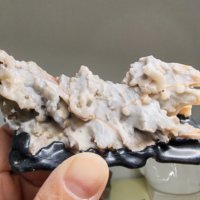 新疆风凌石“卧虎”造型一枚