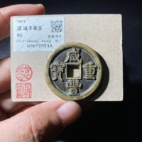 清咸丰重宝宝直当十