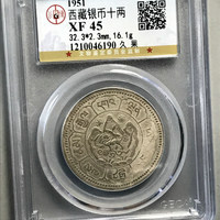 地方省造西藏桑松果木十两