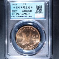 珍惜野生动物-金斑喙凤蝶