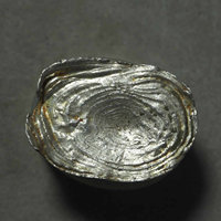 公博MS62+云南银锭