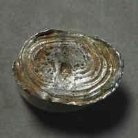 公博M S61云南银锭