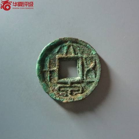 大泉五十