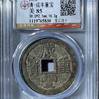 咸丰重宝宝云局当十大样