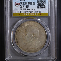 袁世凯像壹圆粗发版